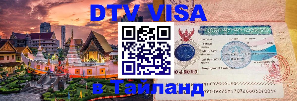 Сколько стоит DTV виза — актуальные цены, оформление даже без документов - Маскат  19.11.2025 